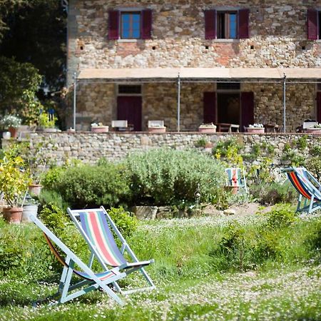 Ancora Del Chianti Bed & Breakfast Greve in Chianti Bagian luar foto