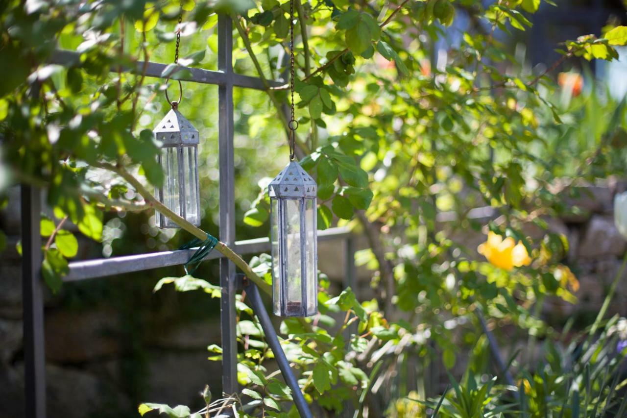 Ancora Del Chianti Bed & Breakfast Greve in Chianti Bagian luar foto
