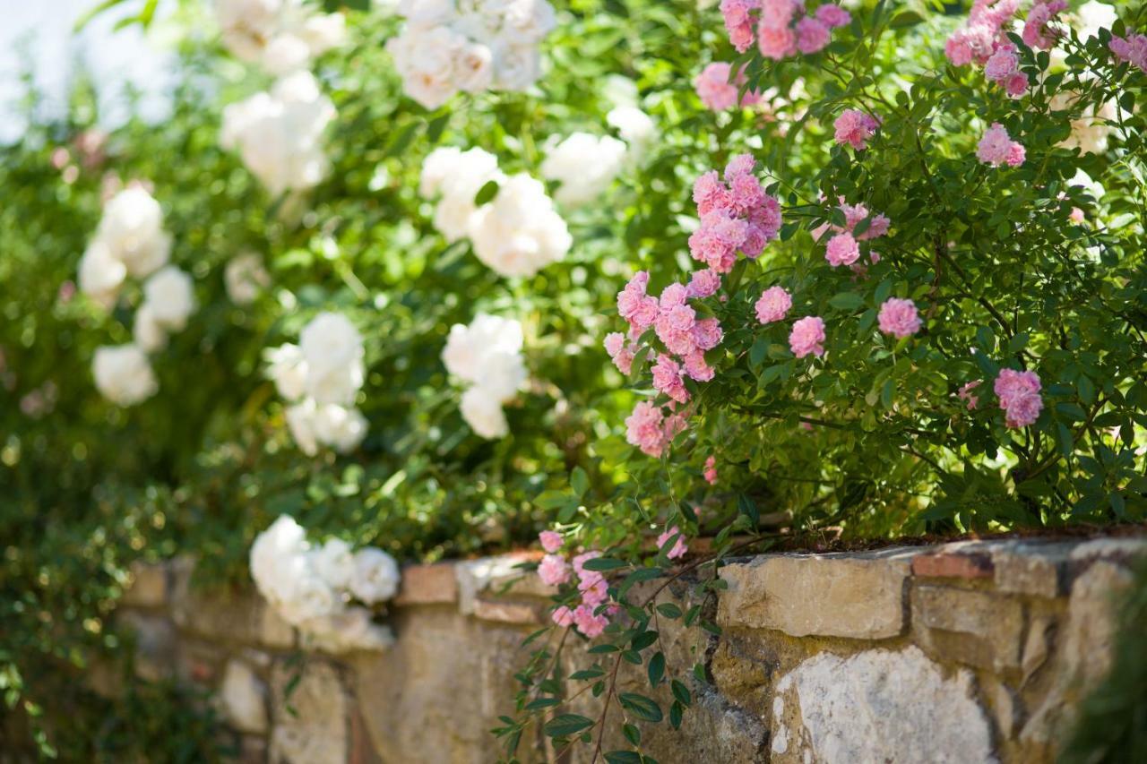 Ancora Del Chianti Bed & Breakfast Greve in Chianti Bagian luar foto