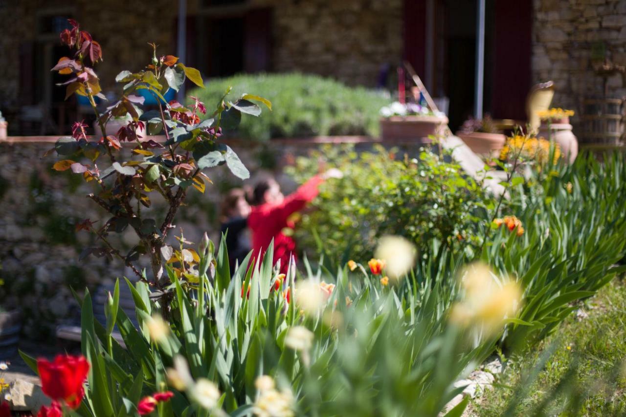 Ancora Del Chianti Bed & Breakfast Greve in Chianti Bagian luar foto